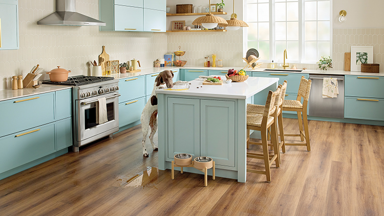 Pet households are reshaping flooring performance, store displays and category growth – April 2026